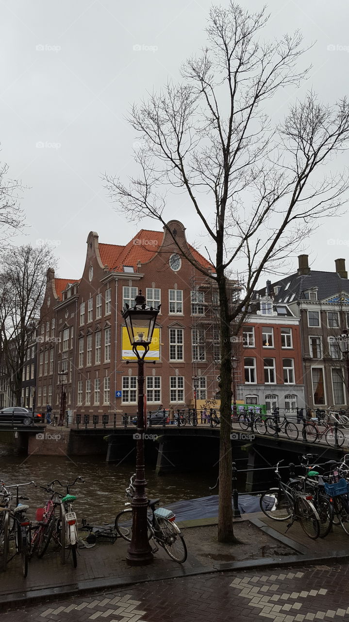 Amsterdam street