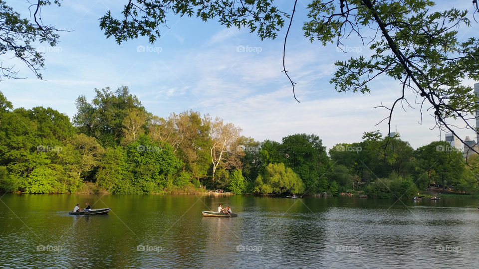 Lake at Central park in New York