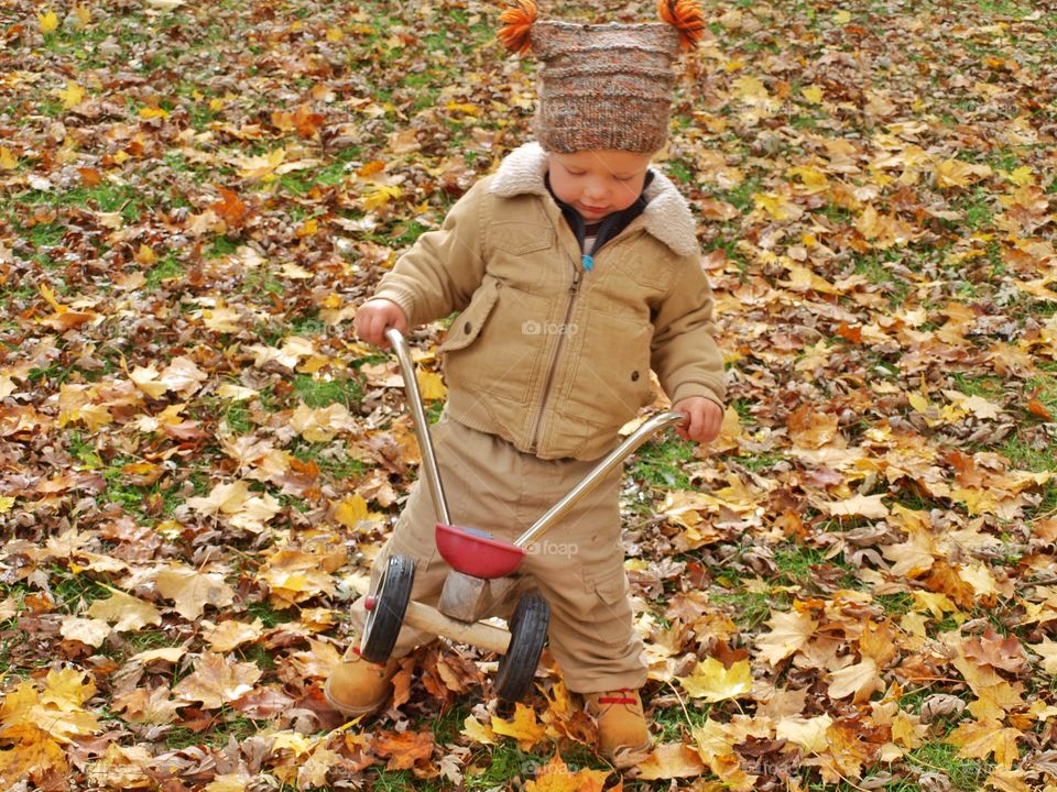 Little boy riding bicycle during autumn