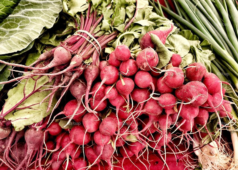 Organic radishes for sale