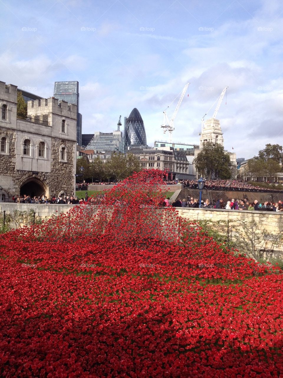 Thank You From Britain