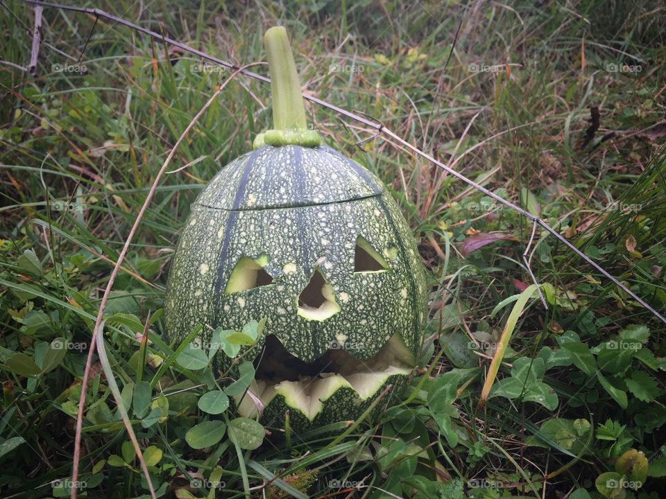 Halloween pumpkin 