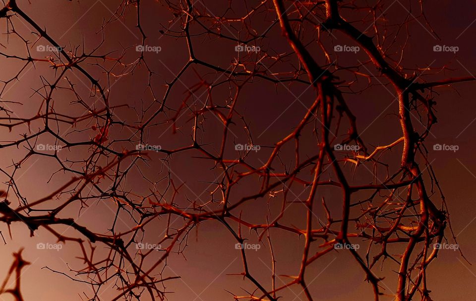 irregularity makes itself a visual