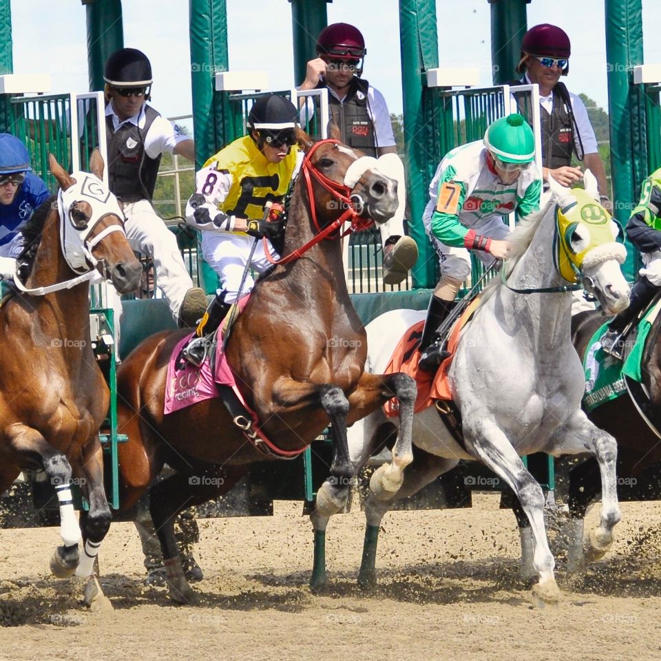 by zazzle.com/fleetphoto