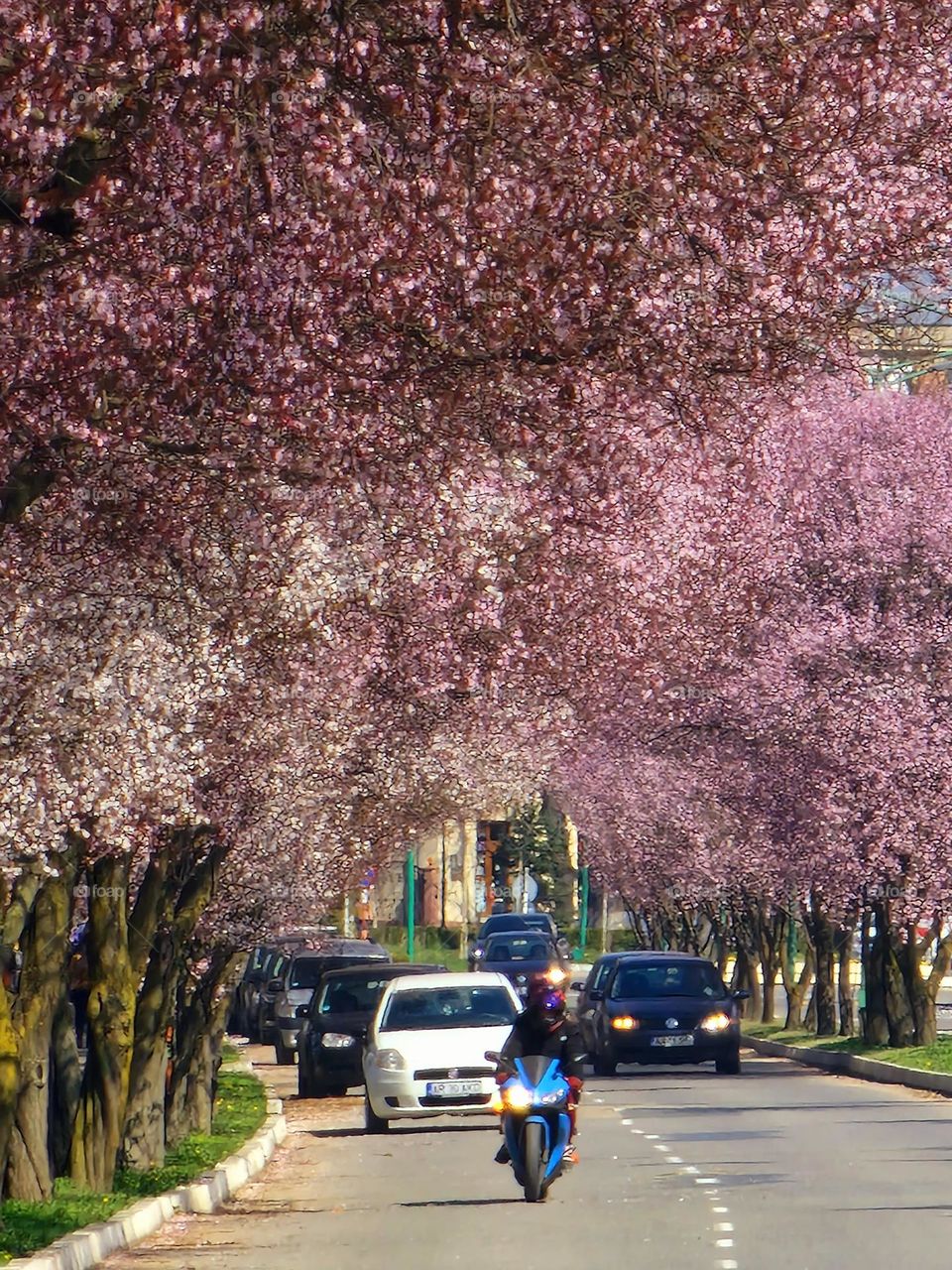 the colors of spring on the streets of Ineu
