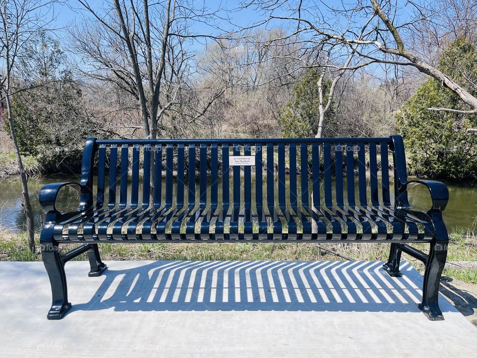 Bench at the park