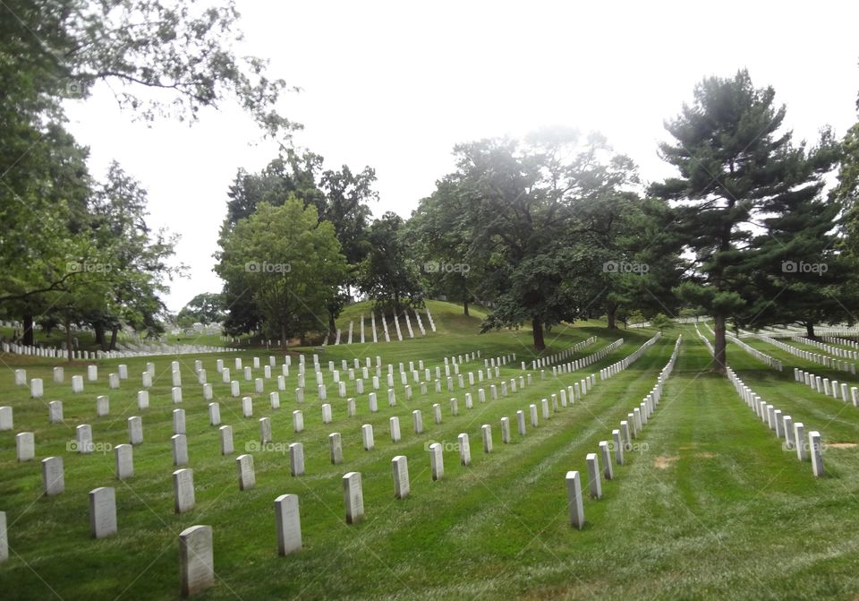 Rows of Graves