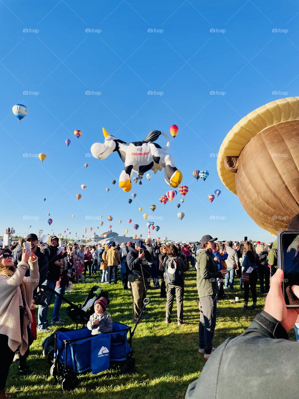 New Mexico’s balloon fiesta 