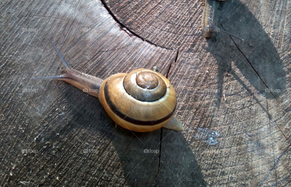 Old, Wooden, Wood, Desktop, Closeup