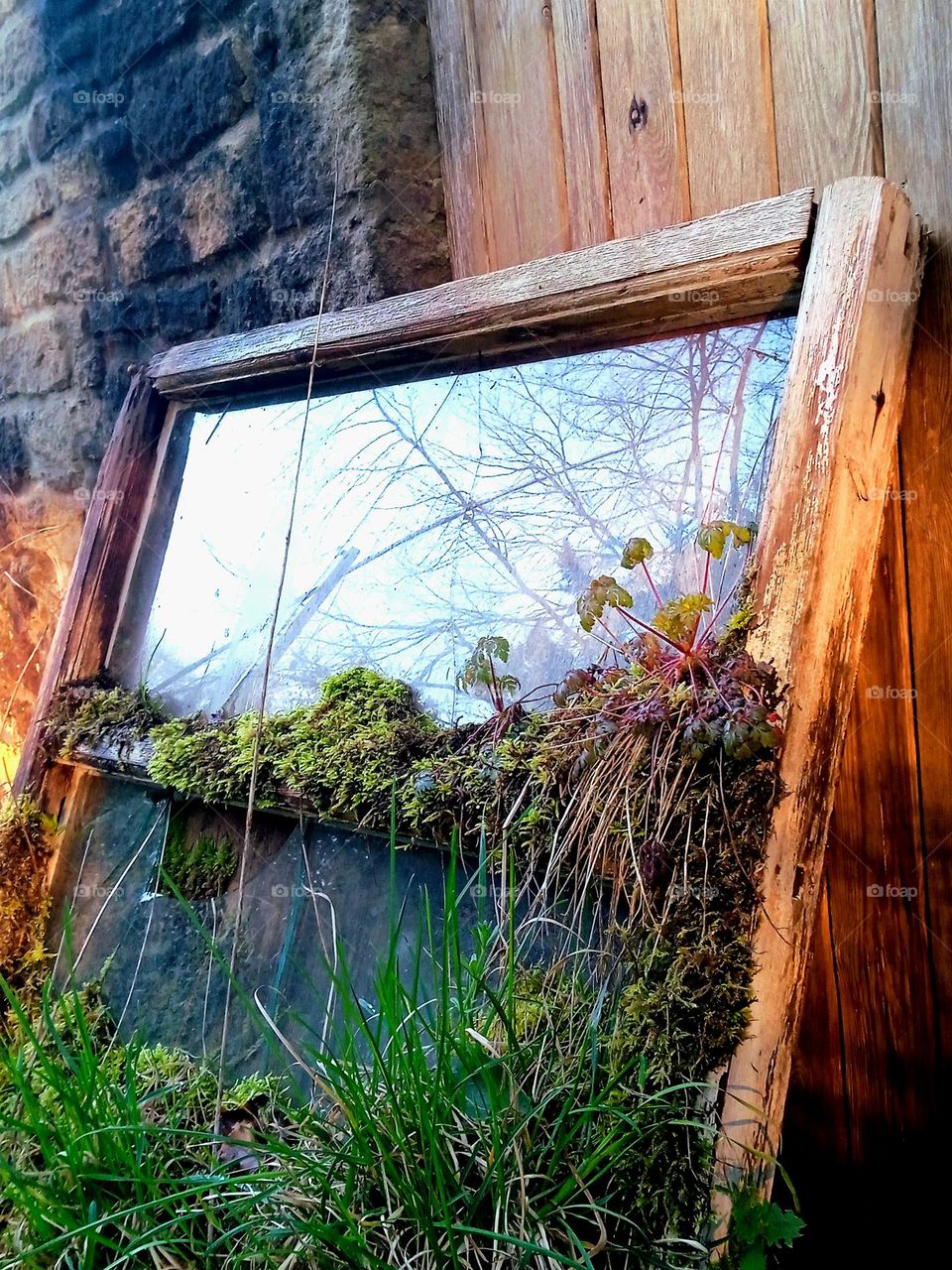 Old window in grass and moss