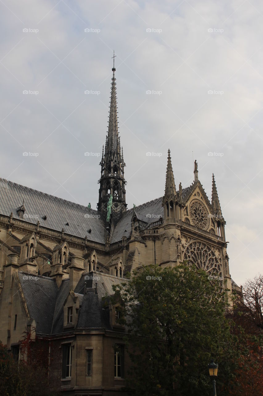Notre dame
