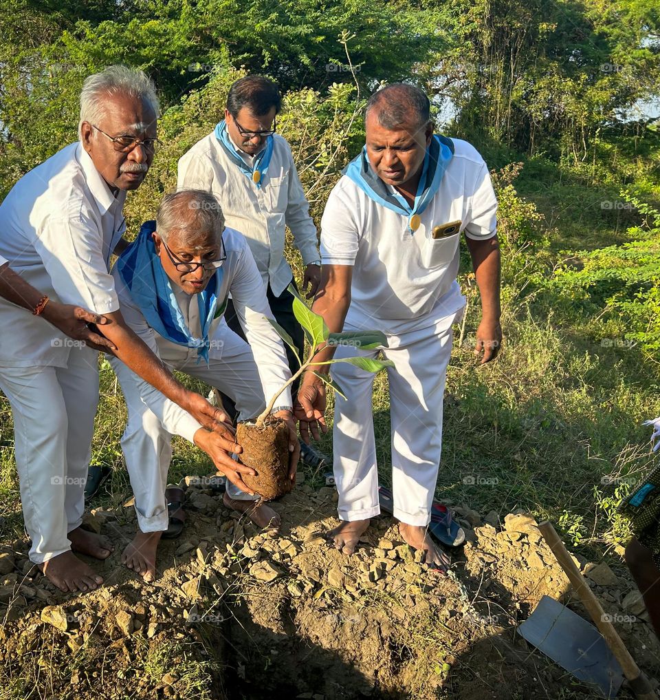 Group of elders planting a tree for next generation 