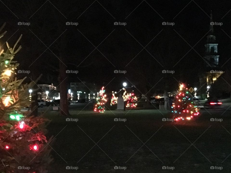 Christmas trees on the green 