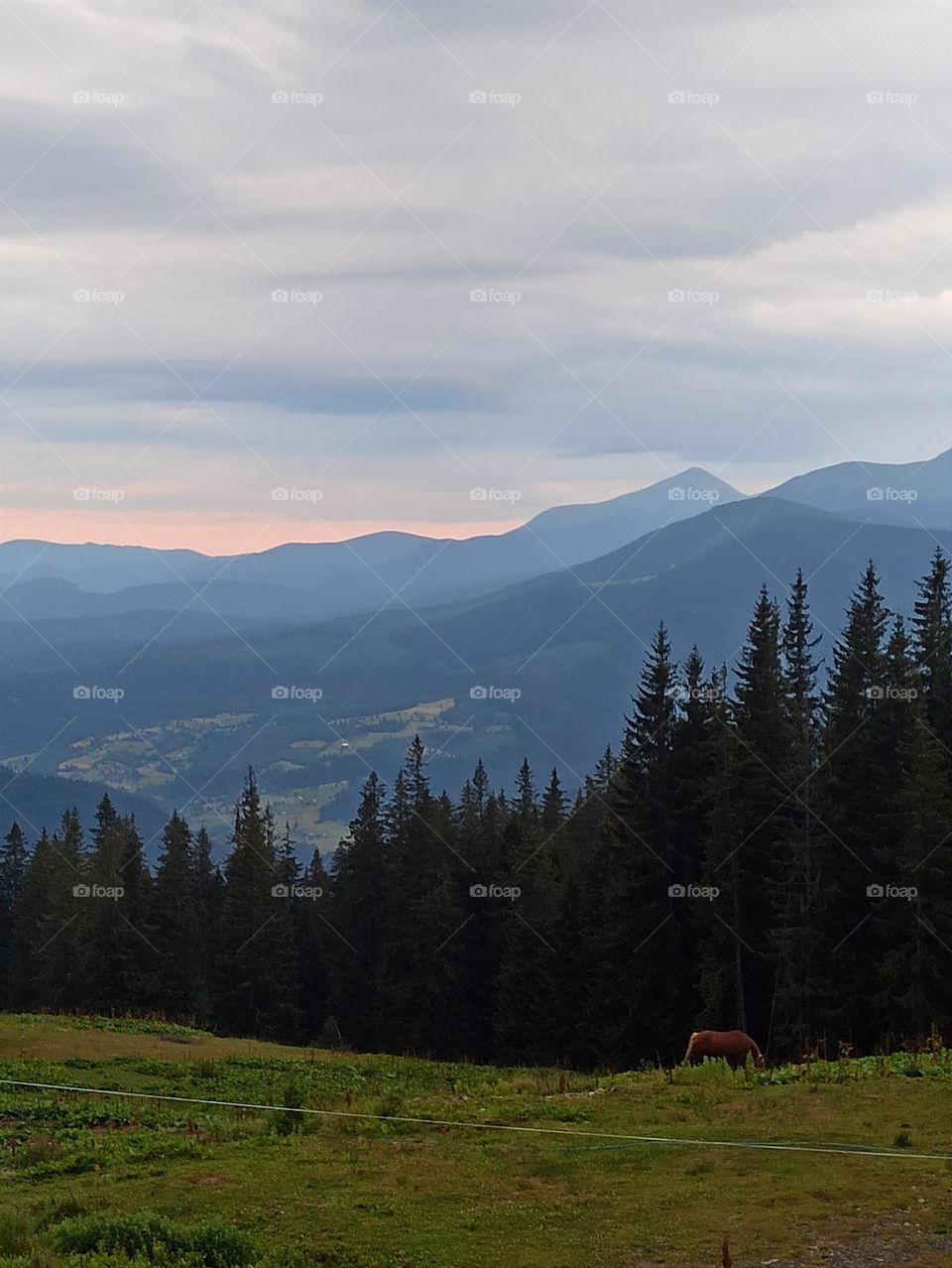 Your favourite travel destination
My beloved Carpathians. Green flower meadows. Cows with bells around their necks. Unforgettable trip across Ukraine. Mountains Dragobrat. Magnificent nature.