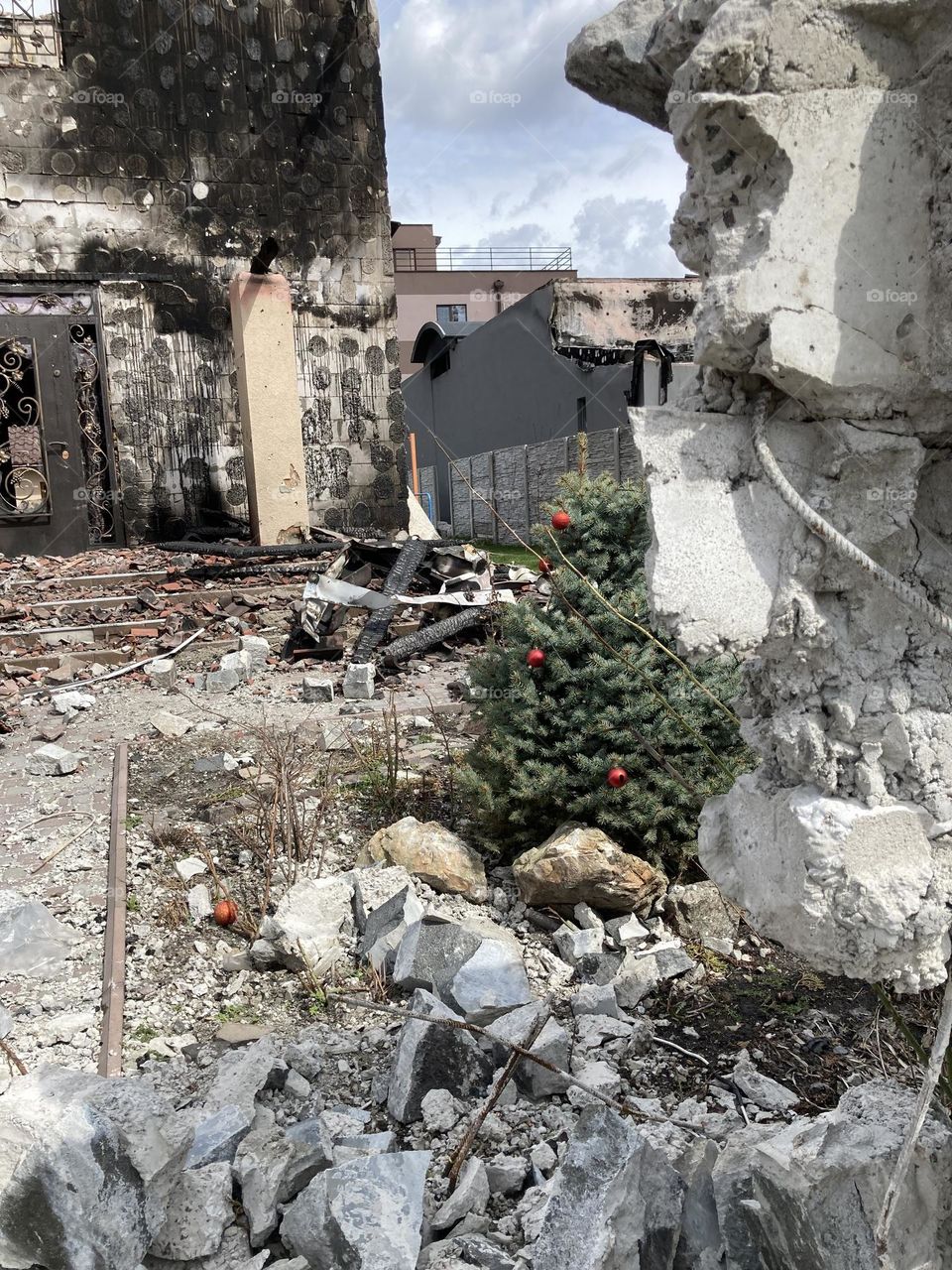 new year tree in ruins 