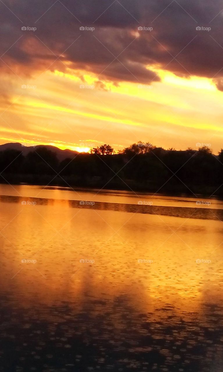 Beautiful golden reflection  of sunset on West Lake in Prospect Park in Wheat Ridge, CO.