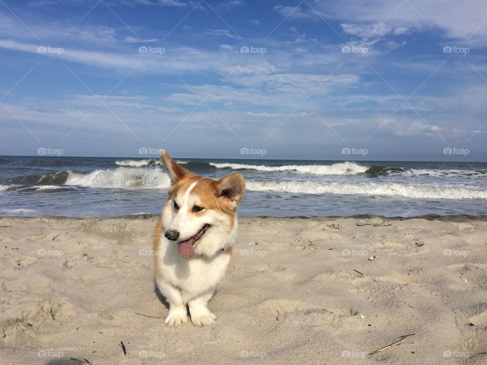 Beach, Sand, Seashore, Water, Sea