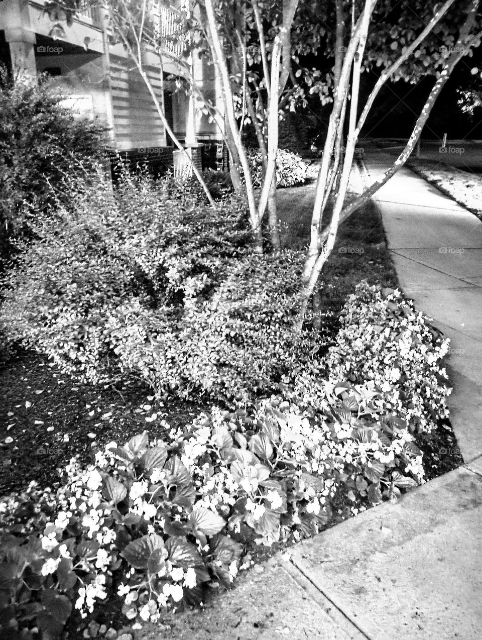 B&W Landscaping