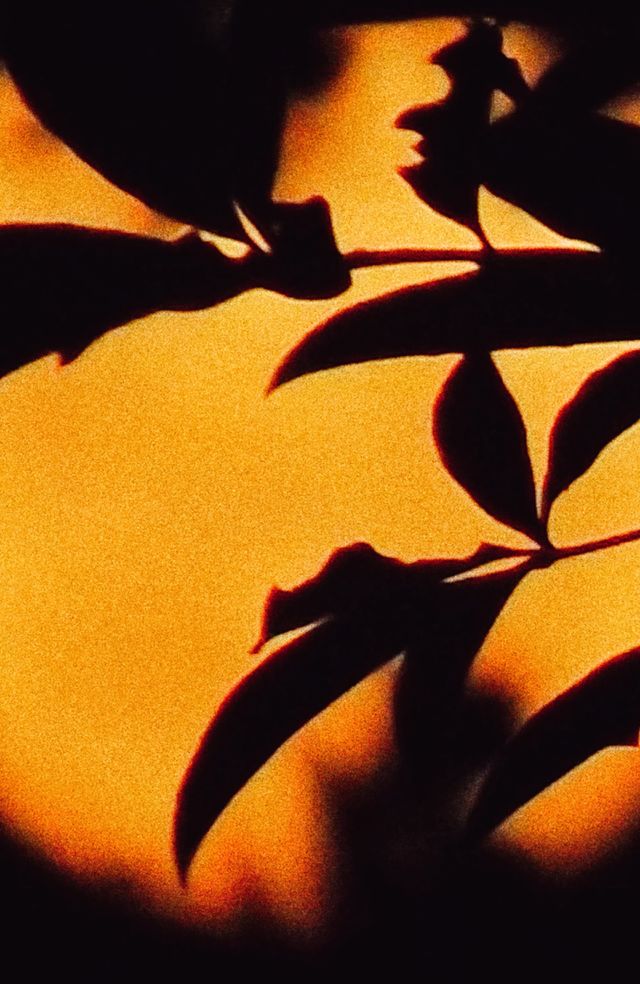 Shadows on the moon