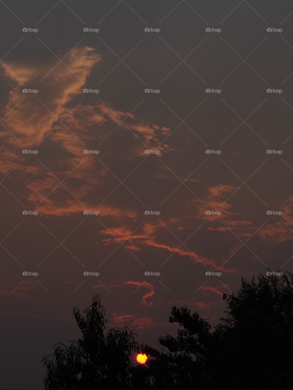 A blazing orange sun caused by smoke from forest fires in Central Oregon falls through the trees and sets the evening sky on fire. 