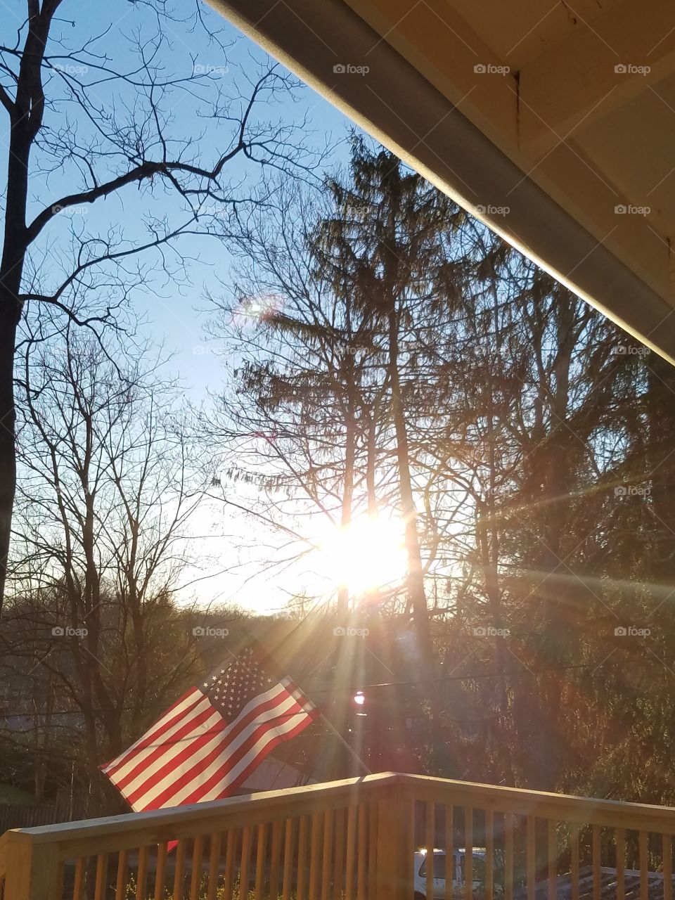 Landscape, Tree, Park, Light, Weather
