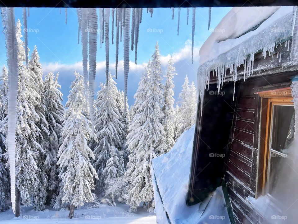 Winter with icicles from the cabin