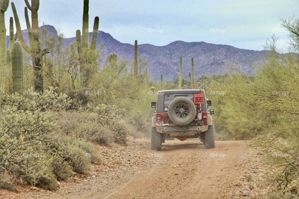 Box Canyon Trail - Florence, AZ