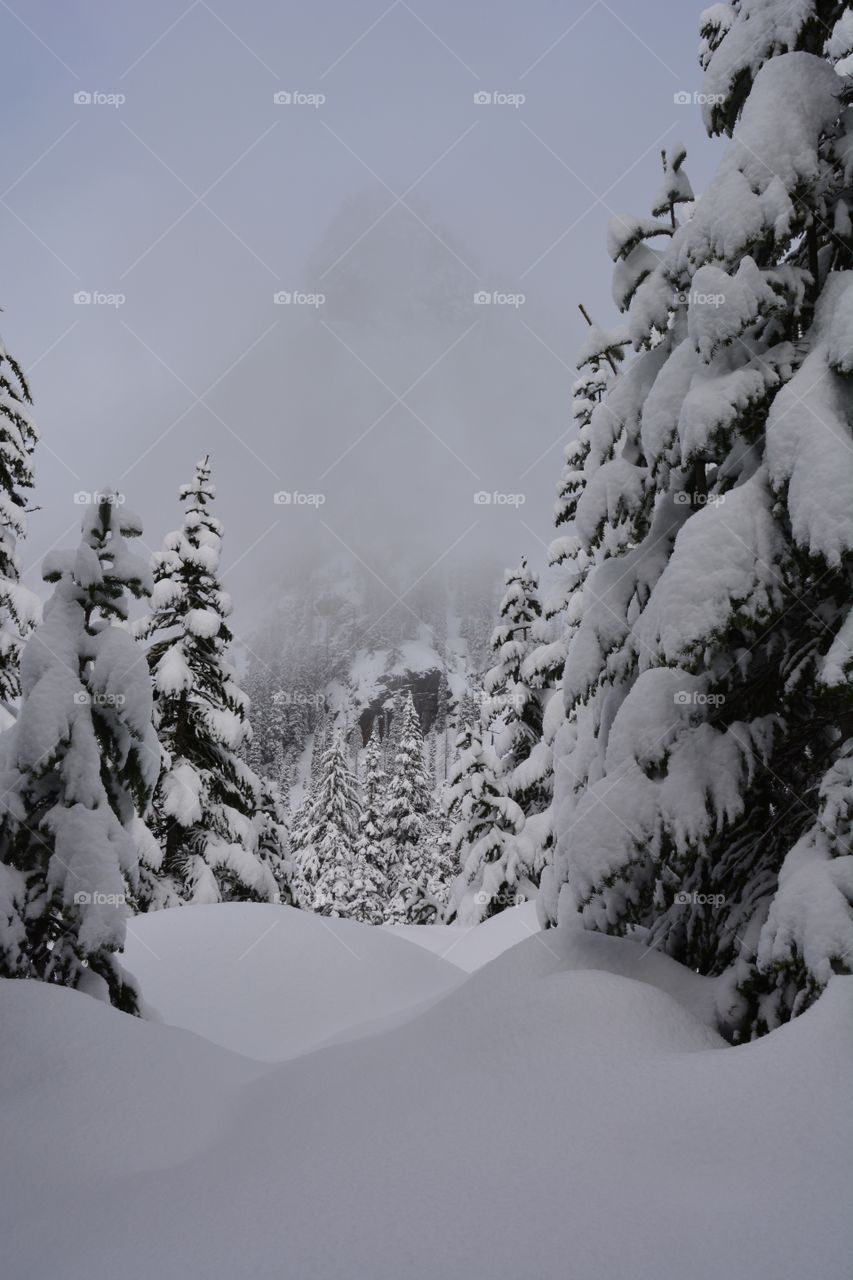 Winter in the Cascades