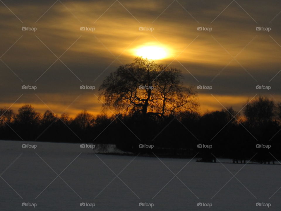 Dawn, Winter, Snow, Sunset, Tree