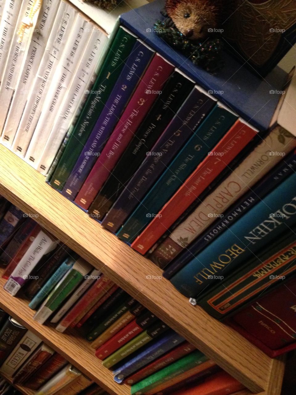 Bookcase full of books (focusing on the Chronicles of Narnia, as it happens)