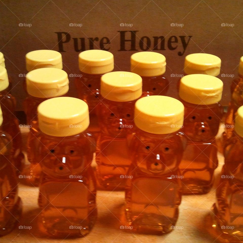 honey bears