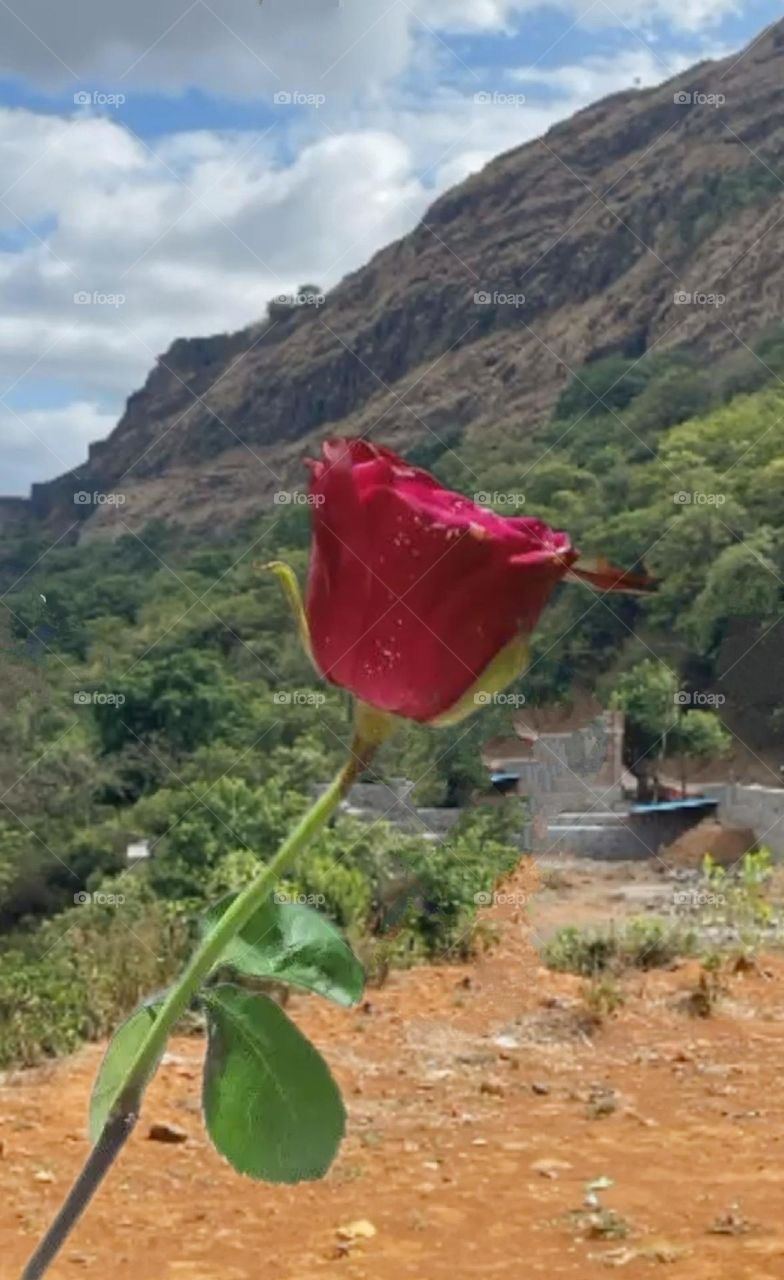 August 16, 2023 rajasthan india. A most beautiful and attractive view.