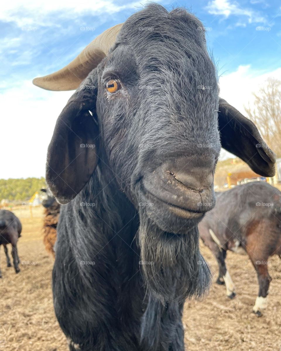 He is a happy guy 😍