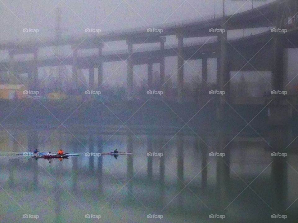 Fog on Willamette