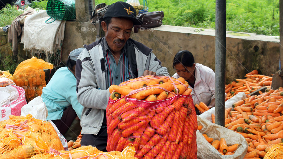 the farmer carries out the weighing and packing of the carrot yield.