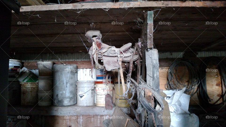 abandoned saddle