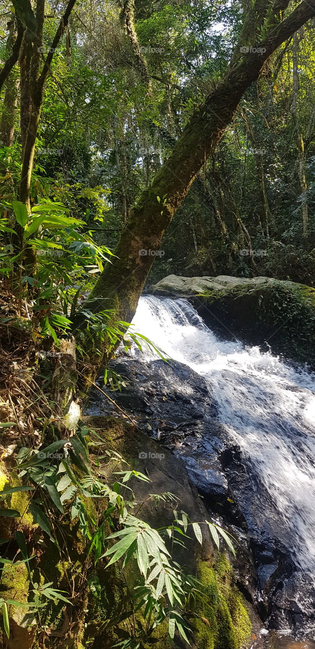 waterfall,  cascata,  cascade