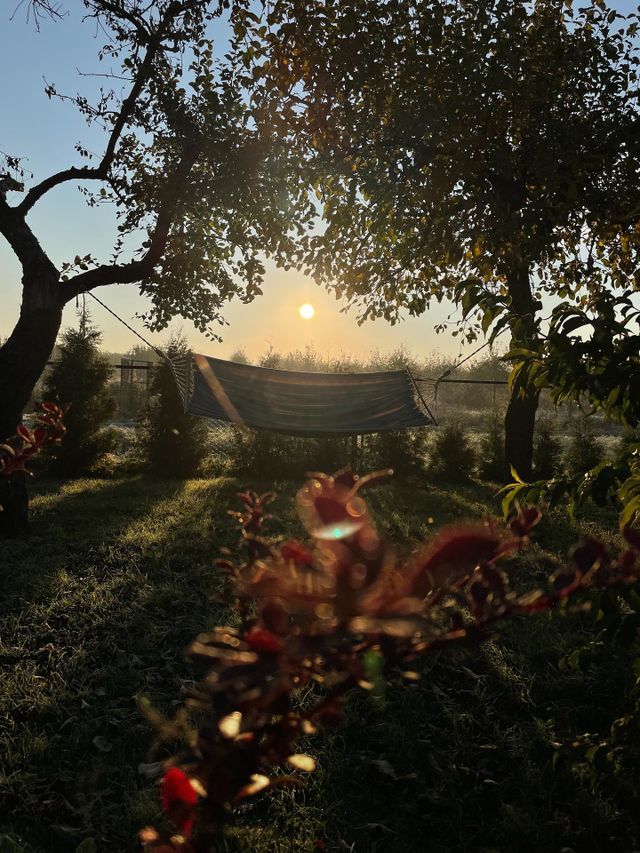 Beautiful sunrise and view on hammock. Chill vibes 