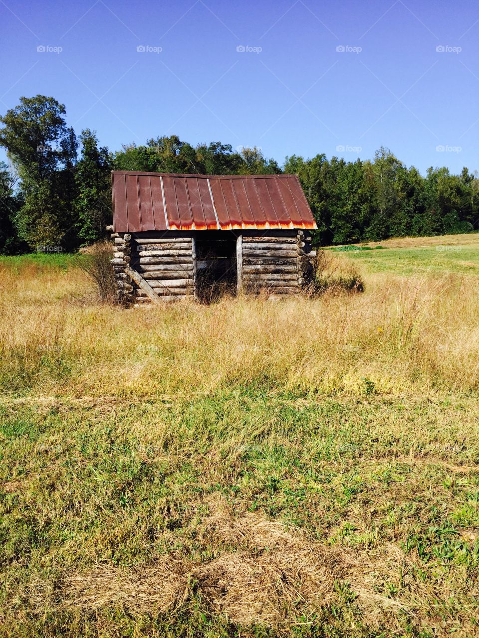 Lone log cabin