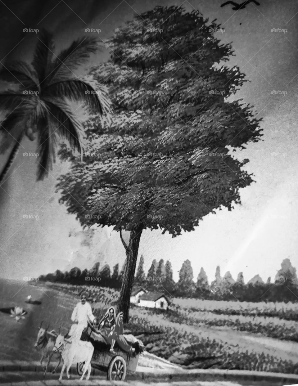olden days pics