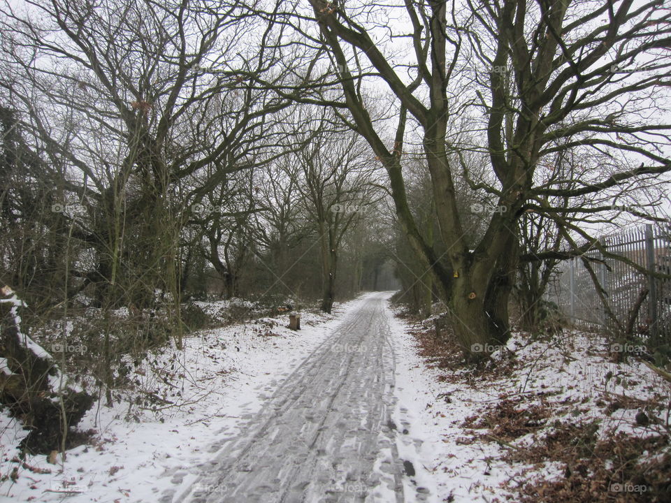 A Cold Road