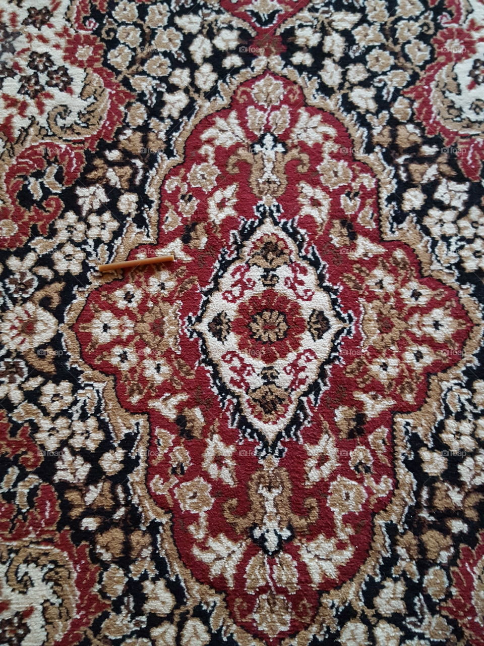 carpet