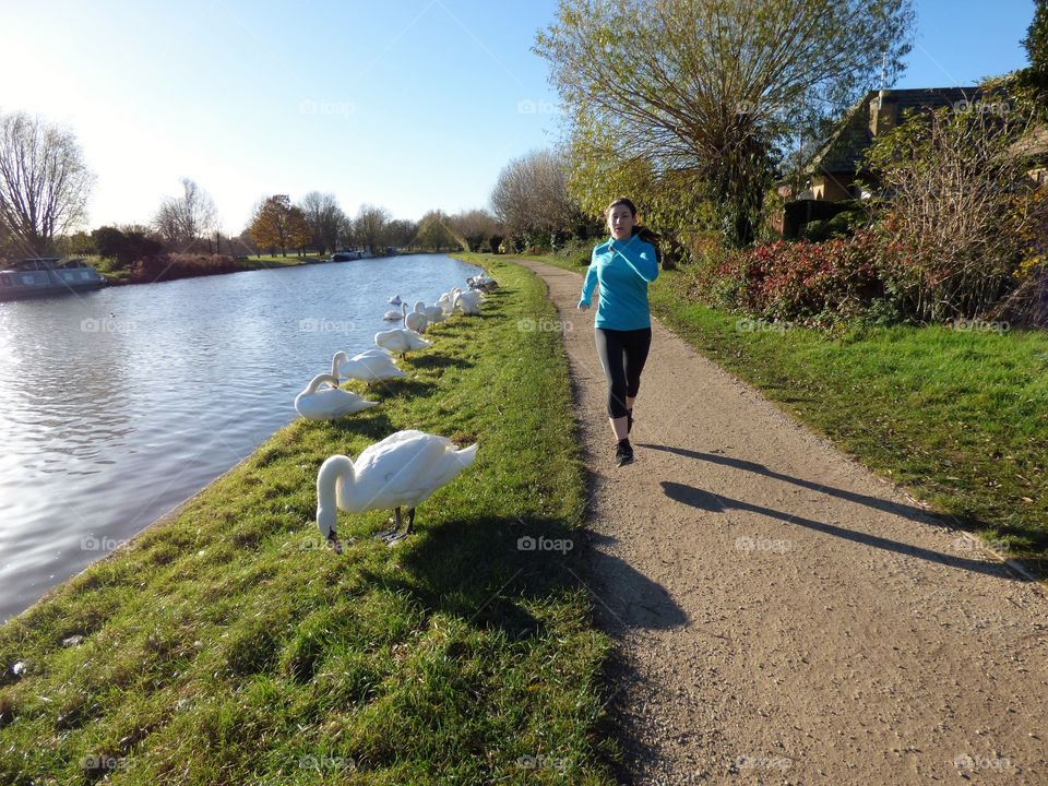 Young woman is running wearing sportswear along the river which is filled with swans eating grass
