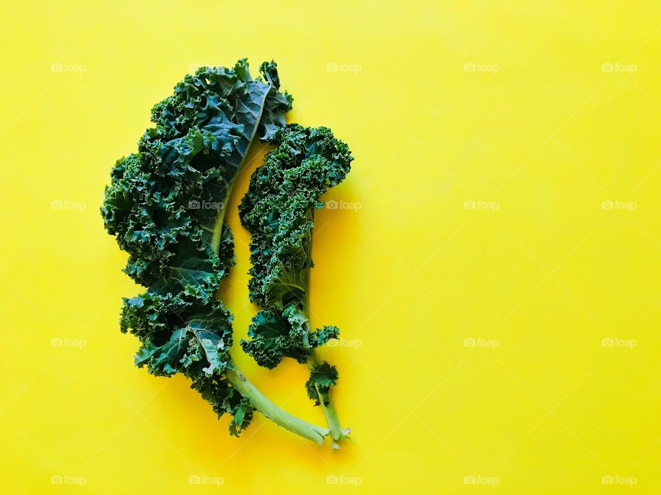 A green kale leaf on a bright yellow background 