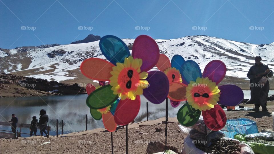 Colorful, beautiful paper fans.