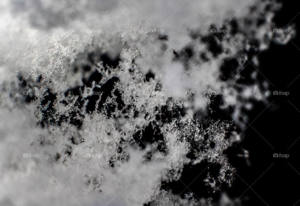 Snowflakes resembling cobwebs 