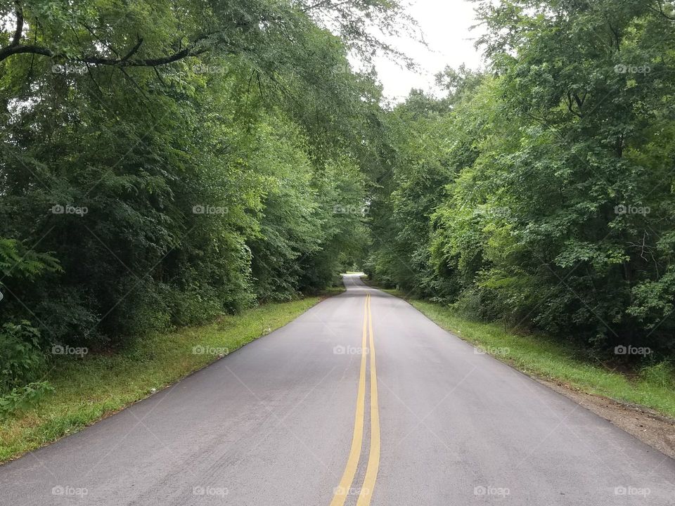 lane