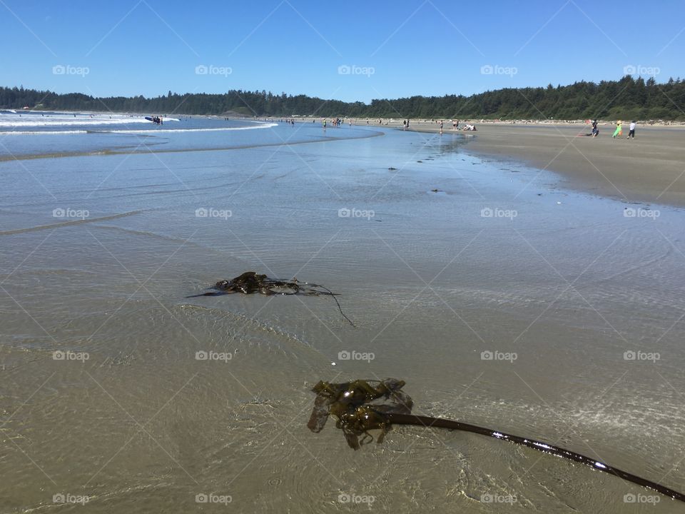 View on a beautiful beach