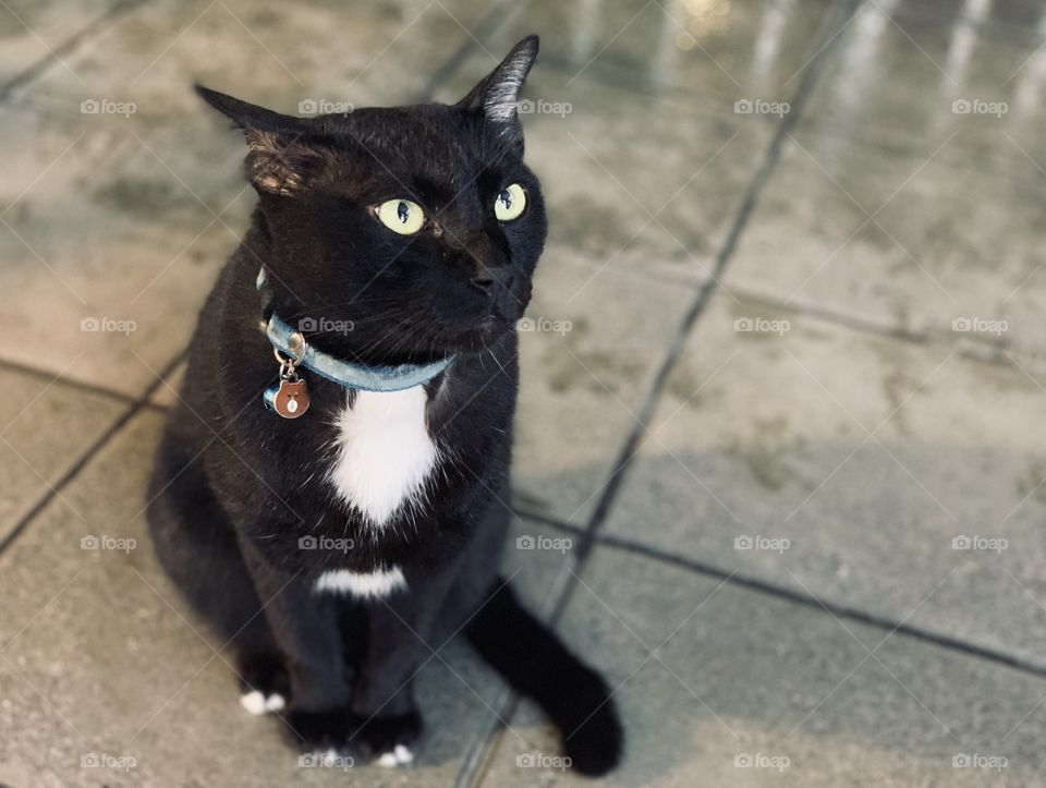 Looking up like asking a question or curious something 