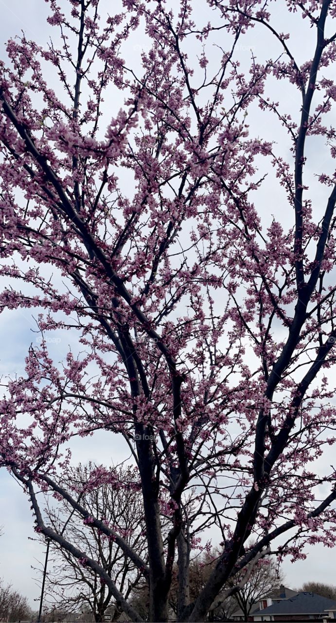 Spring time is (almost) here!